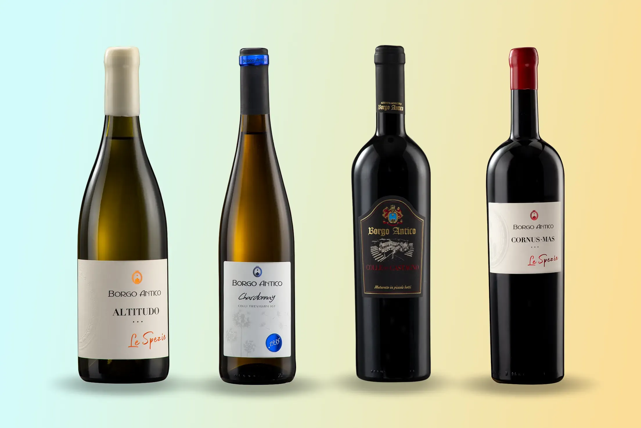 Borgo Antico Vini