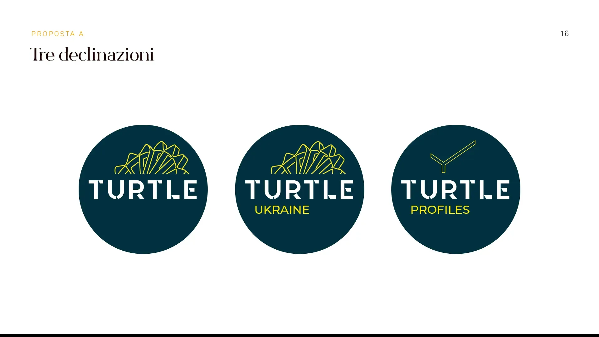 Turtle Srl — Restyling Logo